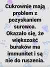 Buraki czekają na podwyżki. Spekulanci!!!   