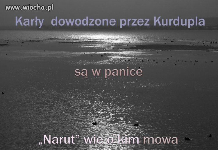 Ciemno wszedzie zimno wszedzie