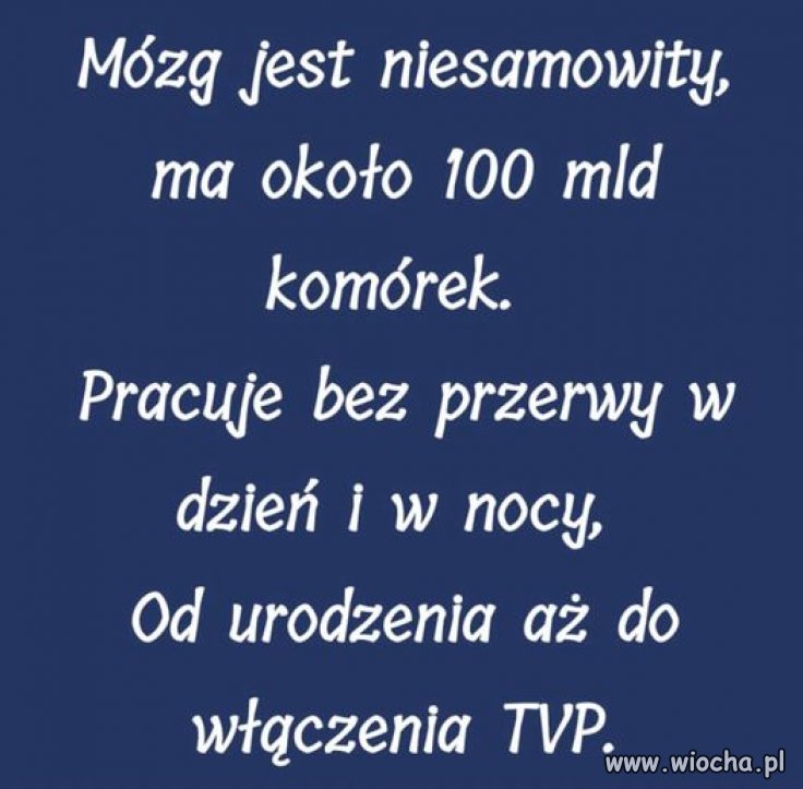 Taka prawda