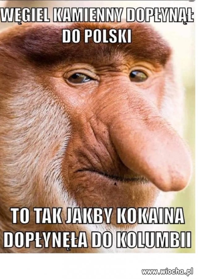 Popieram