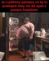 Trzeba wrzucić cos na ruszt 