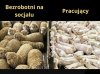Porównanie