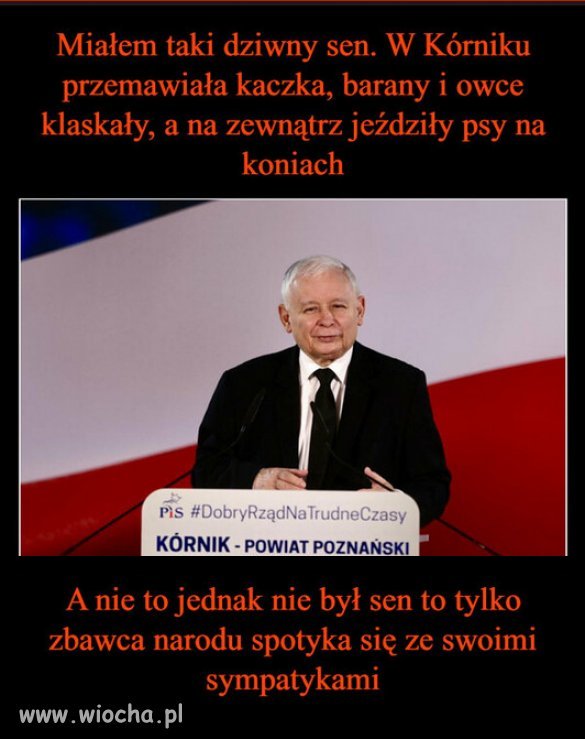 Za czasów PiSu, Polacy w cyrku się nie śmieją