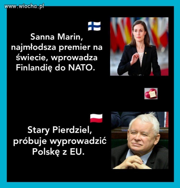 Podły bydlak prowadzi Polskę do katastrofy