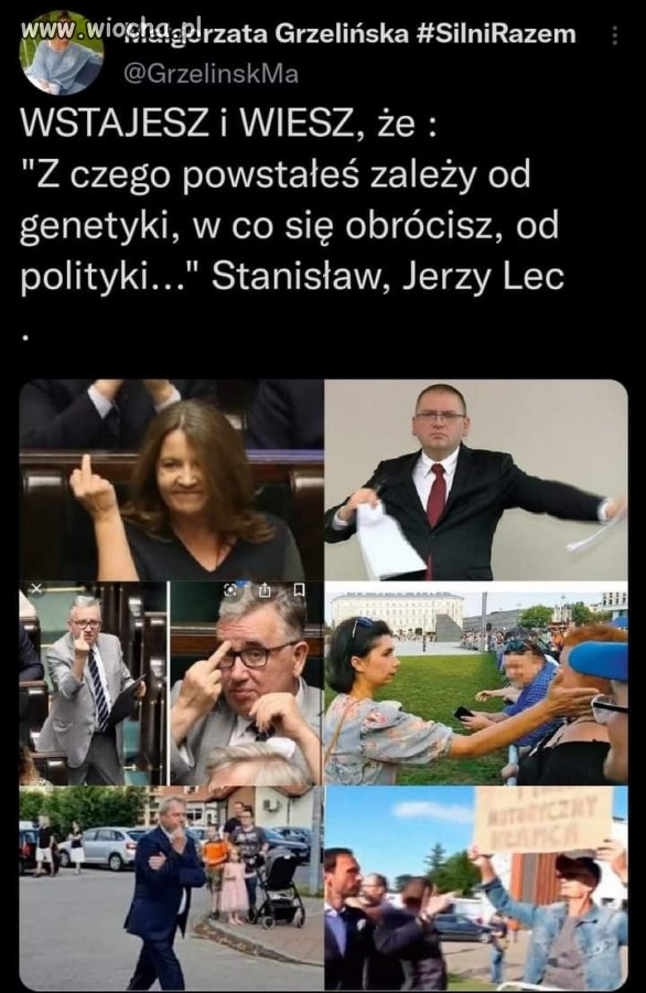 Zestaw pisowskich inteligentów bezobjawowych o wybitnej 