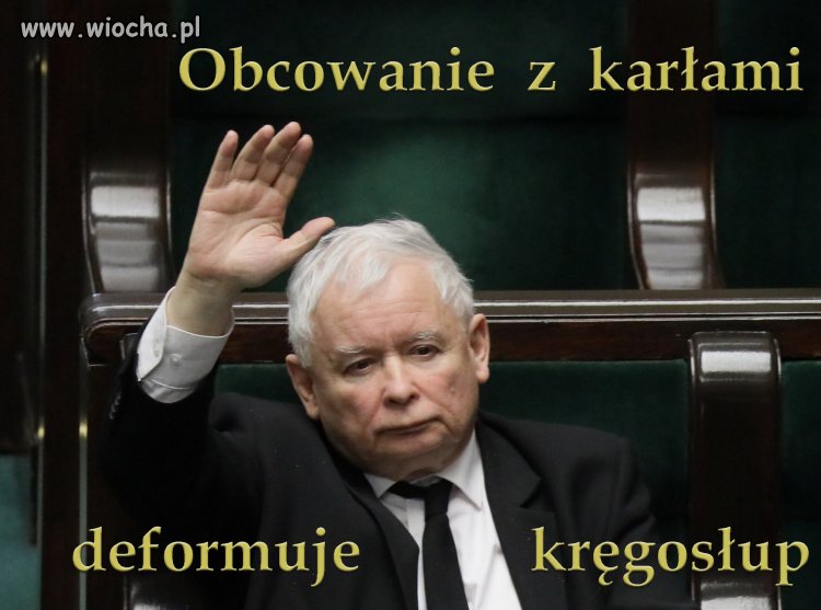 W PiS nie ma uczciwych