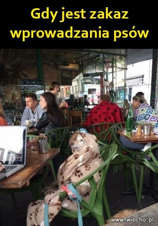 Na wszystko jest sposób