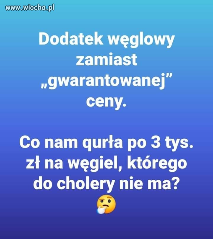 Pisowska logika