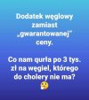 Pisowska logika