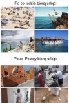 Wakacje po polsku
