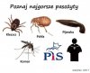 Najgorsze pasożyty