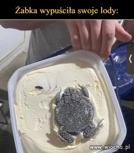 Francuskie lody z Żabk(i)ą