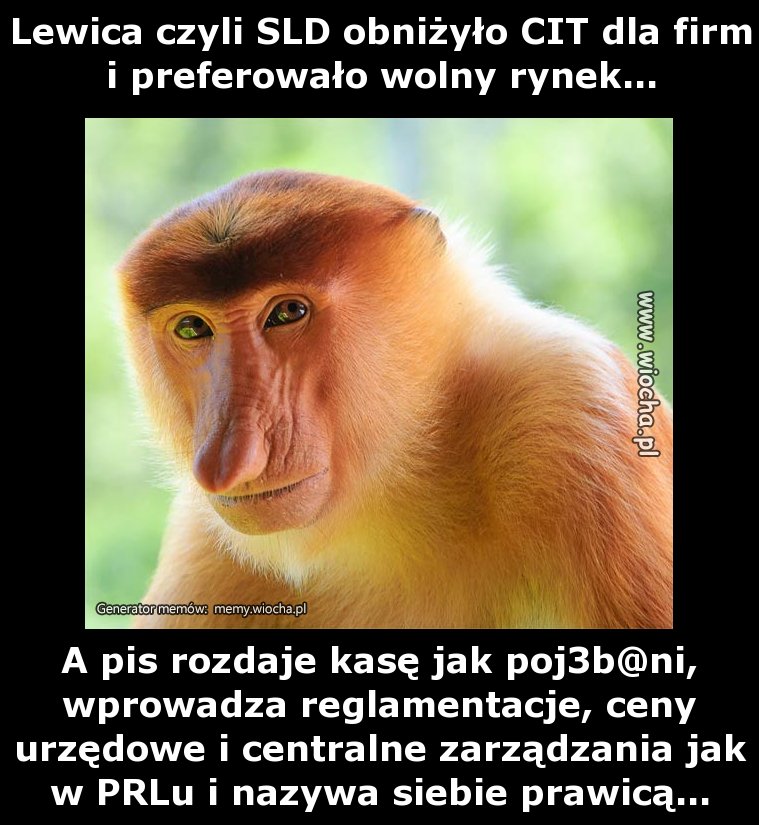 Lewica czyli SLD obniżyło CIT dla firm i