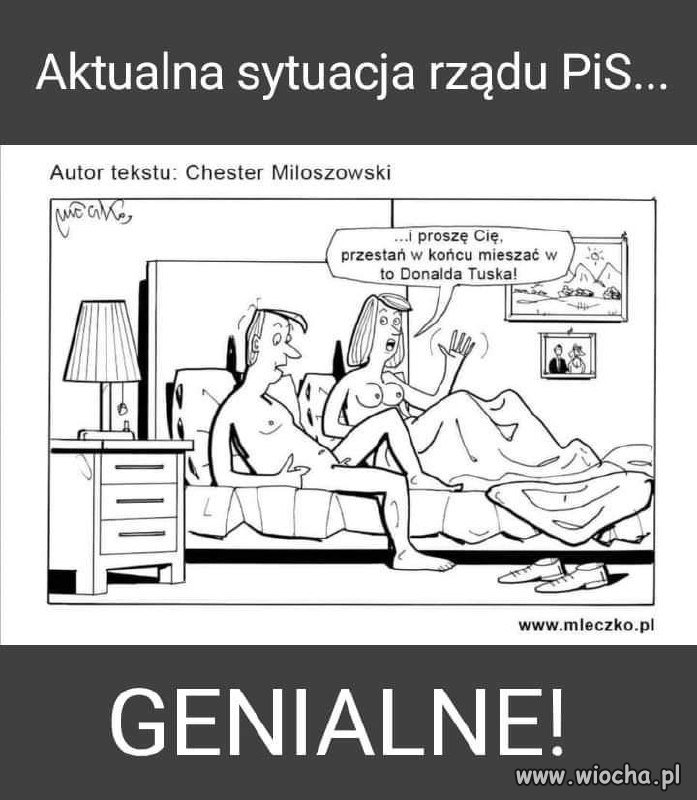 Wszystkiemu winien Donald