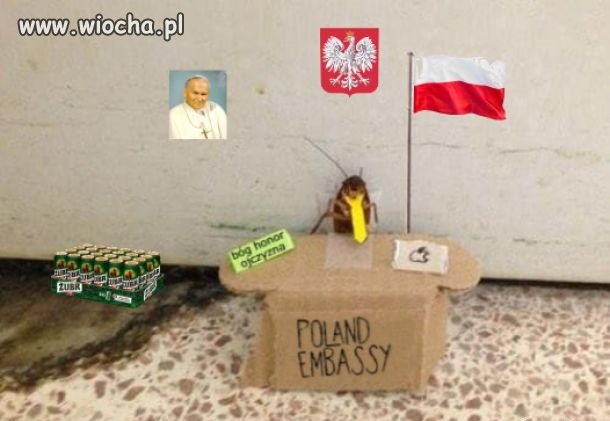 Polacy robacy