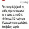 Dojadamy po psie