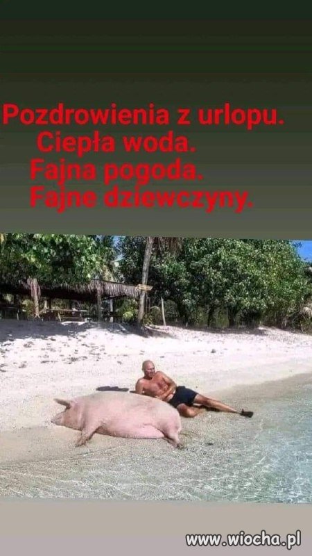 Wakacje full wypas 