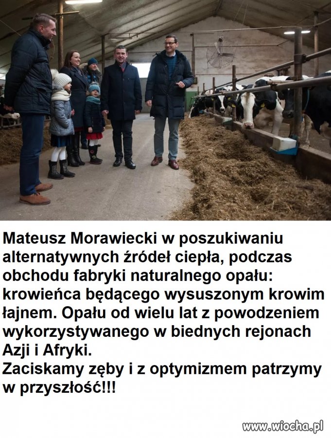 Krowieniec- przyszłością energetyczną Polski