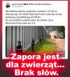 Kompromitacja