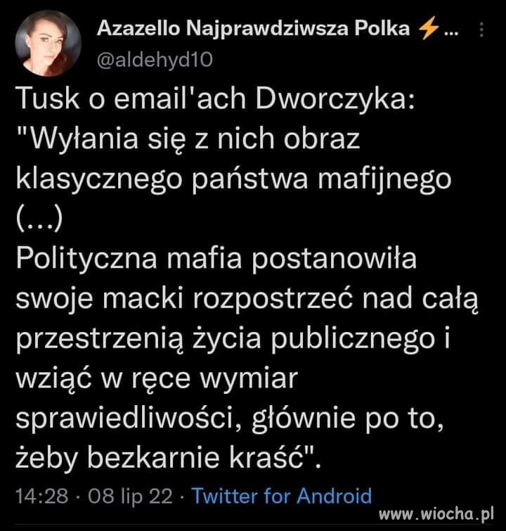 Państwo mafijne 