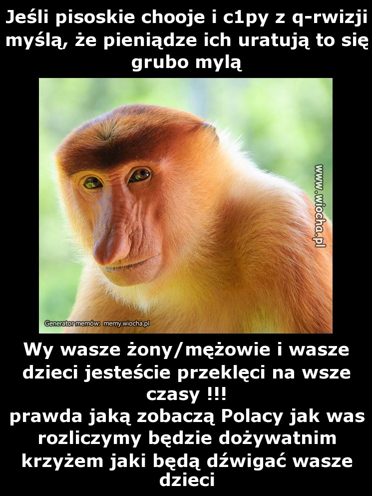 Jeśli pisoskie chooje i c1py z q-rwizji myślą, że