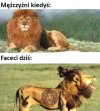 Tak jest