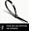Życie jest jak trytytytka