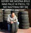 A pis straszy zimą