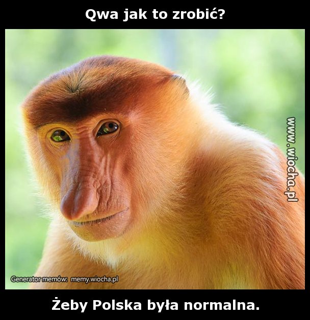 Qwa jak to zrobić?