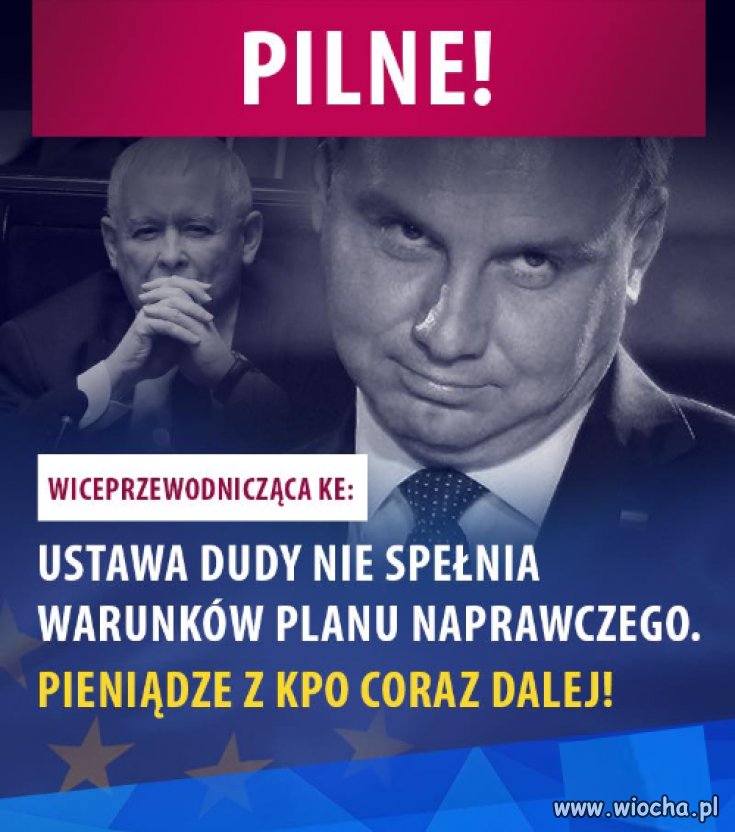  ''duda'' 