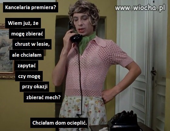 Termomodernizacja