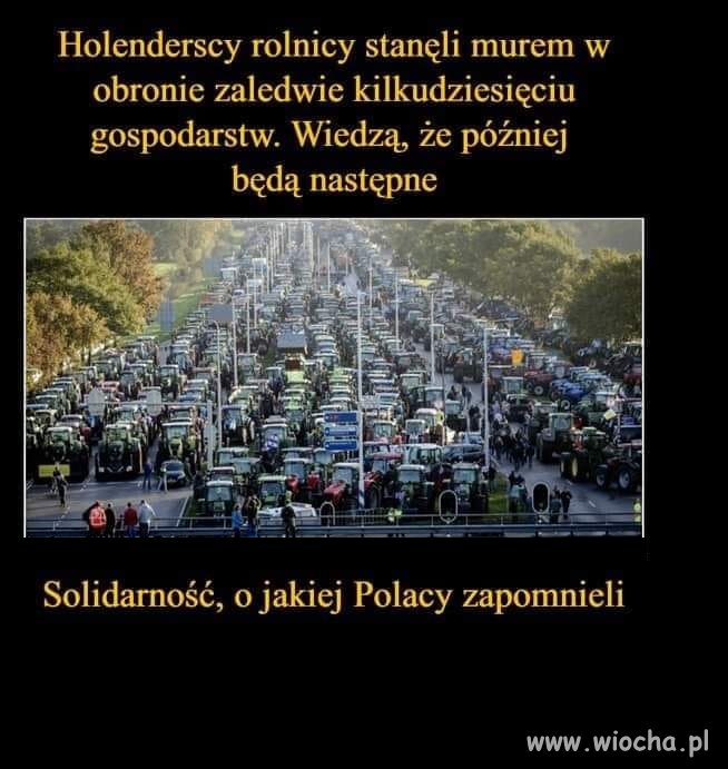 Potwierdzam