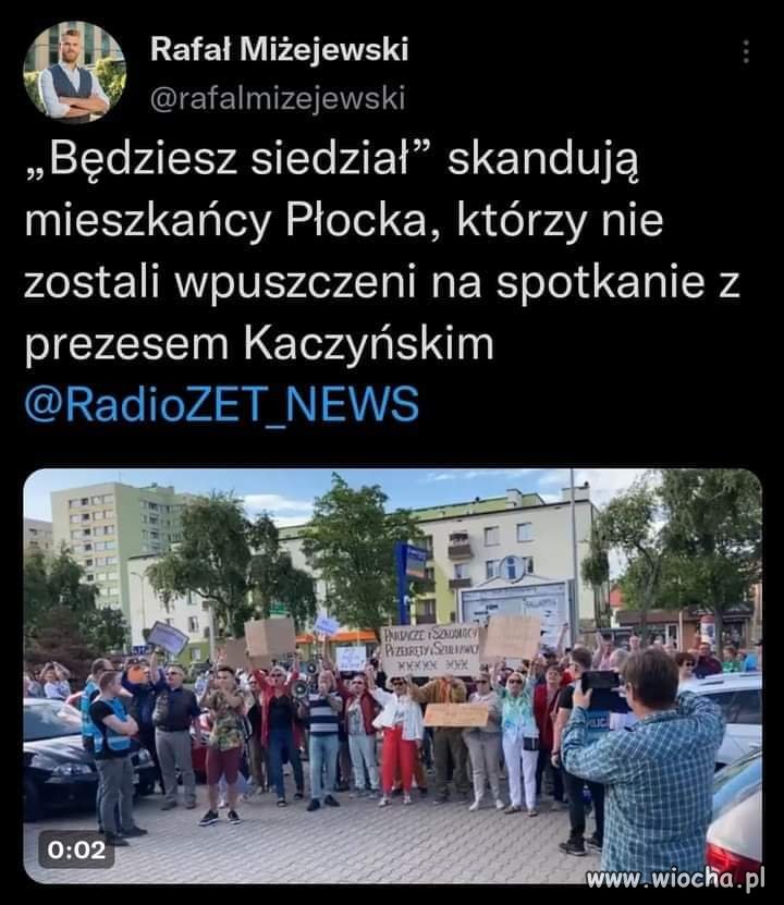 Okrzyk