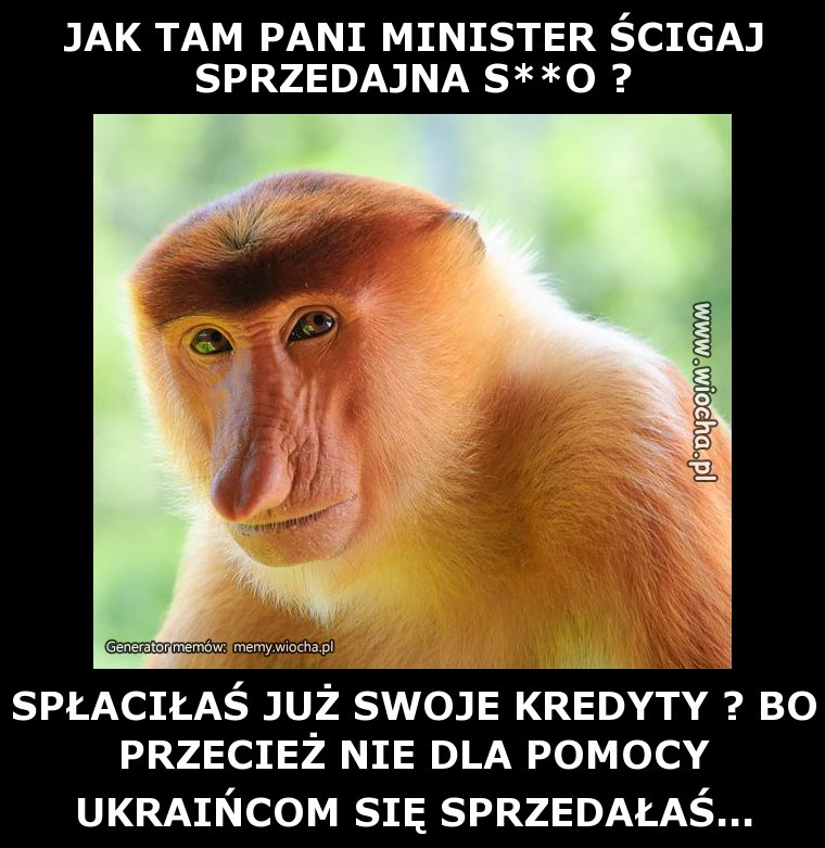 JAK TAM PANI MINISTER ŚCIGAJ SPRZEDAJNA S**O ?
