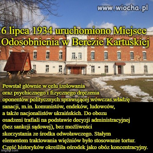 Nie tylko niemieccy naziści