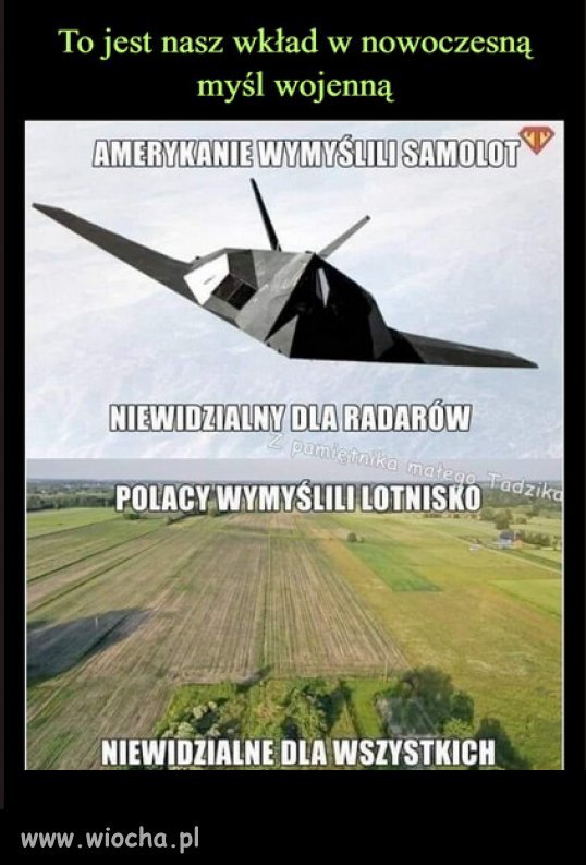 Z cyklu: Polski PiSior potrafi...