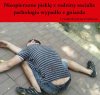 Leć ptaszku! Leć!