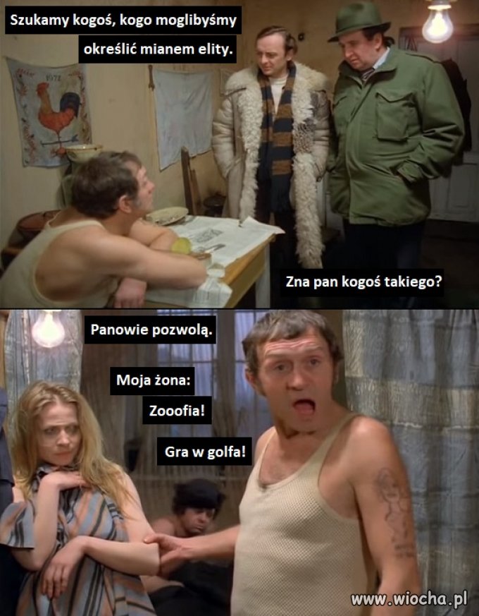 Elyty