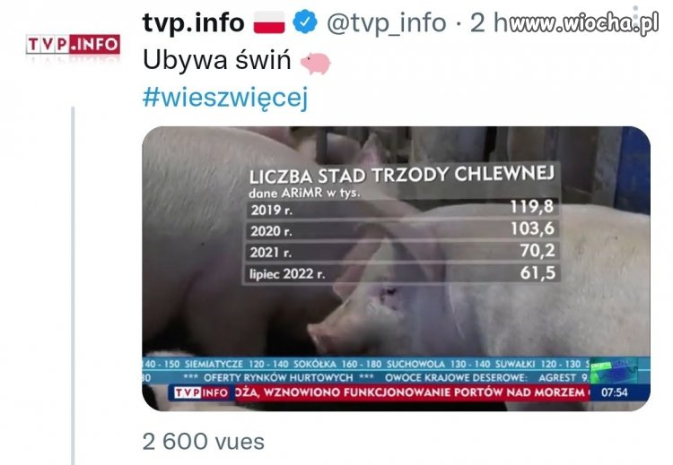 W polityce przybywa