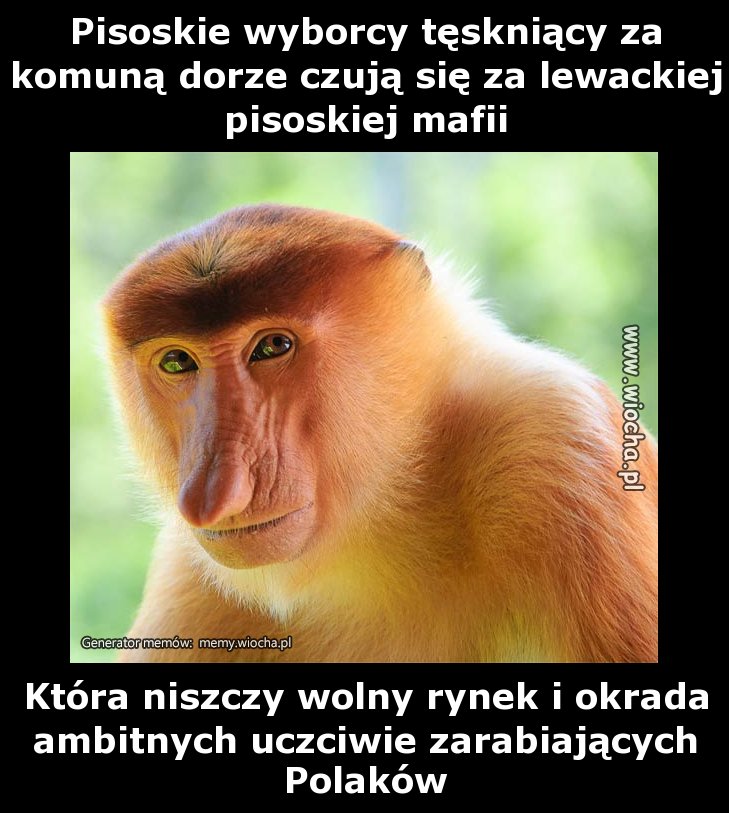Pisoskie wyborcy tęskniący za komuną dobrze czują