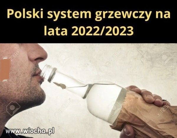 W skrócie