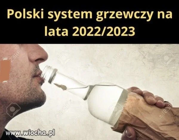 W skrócie