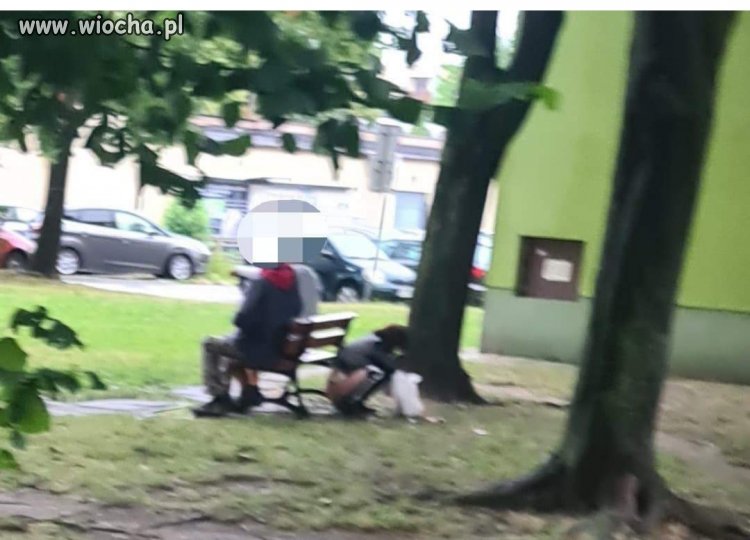 Tak się bawi patologia