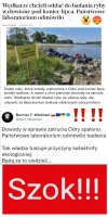 Dowody spalono