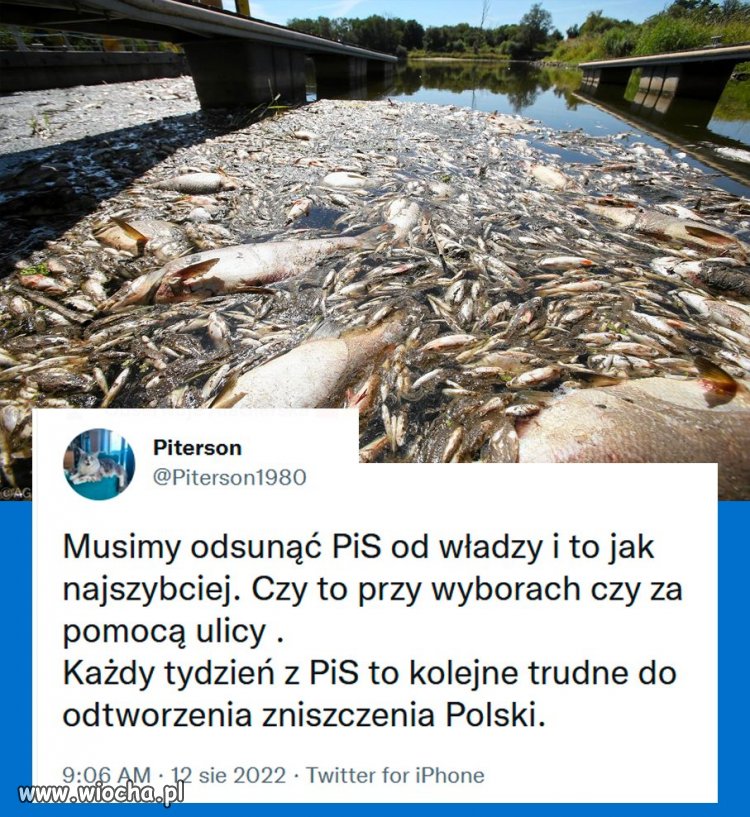 Zaczęli od koni teraz rzeki nie wspomnę o narodzie.
