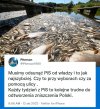 Zaczęli od koni teraz rzeki nie wspomnę o narodzie.