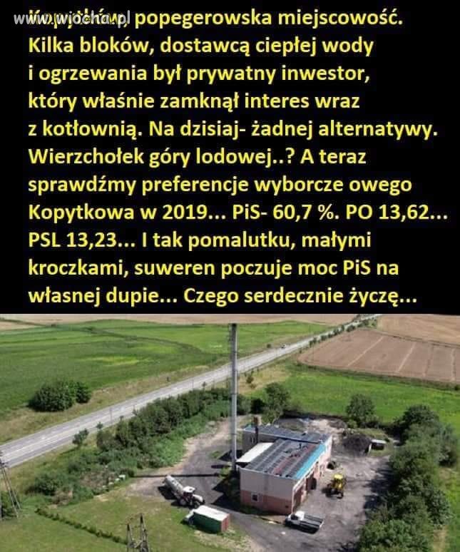 Zaznaczam że jako przedsiębiorca będę głosował na 