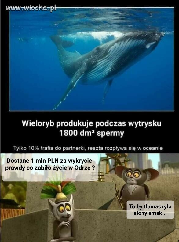 Zespół ekspertów rządowych znalazł odpowiedź.