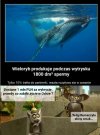 Zespół ekspertów rządowych znalazł odpowiedź.
