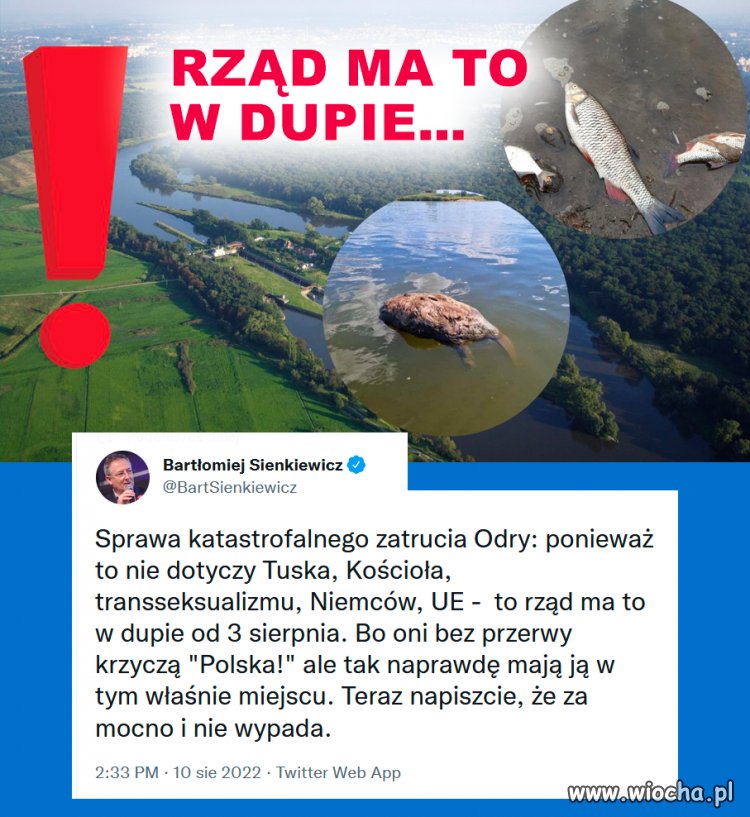 Darli by mordy jak by to było z Czajki i dało się zrzucić na R.T.!!!